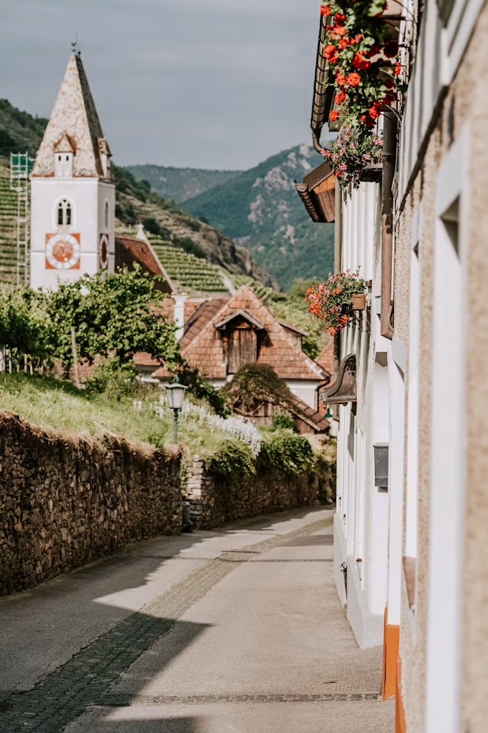 Gasse mit Weinbergen in der Wachau